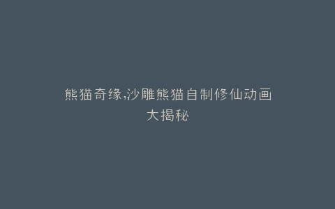 熊猫奇缘,沙雕熊猫自制修仙动画大揭秘