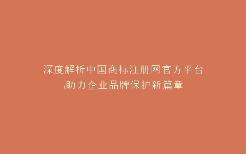 深度解析中国商标注册网官方平台,助力企业品牌保护新篇章