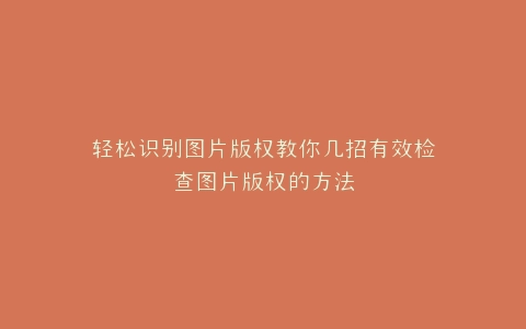 轻松识别图片版权教你几招有效检查图片版权的方法