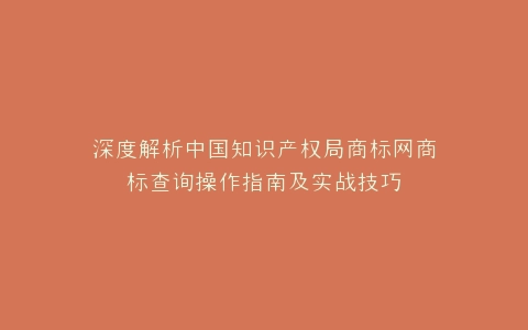 深度解析中国知识产权局商标网商标查询操作指南及实战技巧