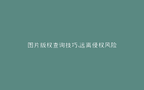 图片版权查询技巧,远离侵权风险