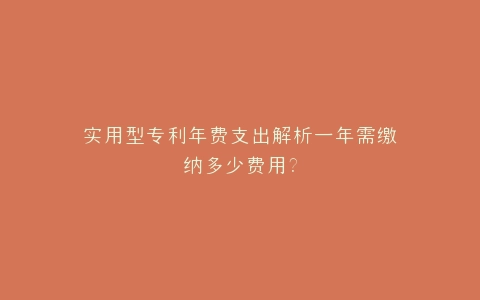 实用型专利年费支出解析一年需缴纳多少费用?