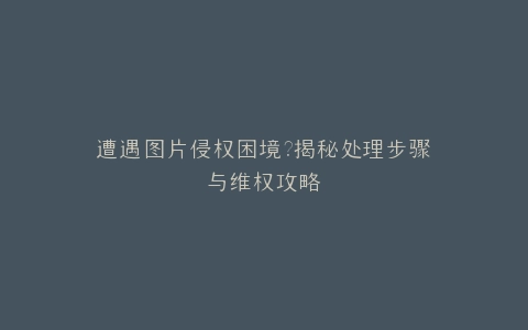 遭遇图片侵权困境?揭秘处理步骤与维权攻略