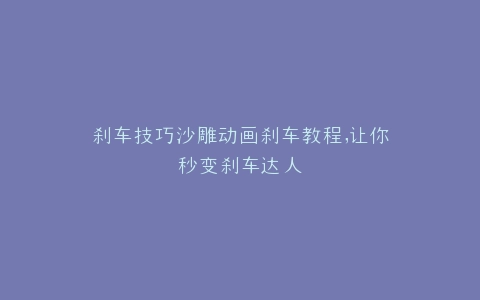 刹车技巧沙雕动画刹车教程,让你秒变刹车达人