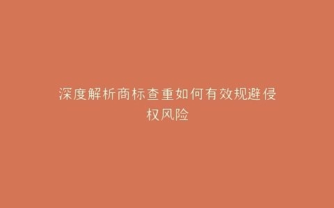 深度解析商标查重如何有效规避侵权风险