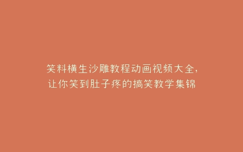 笑料横生沙雕教程动画视频大全,让你笑到肚子疼的搞笑教学集锦