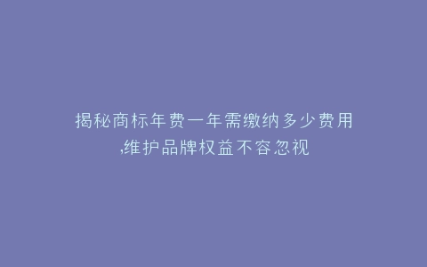 揭秘商标年费一年需缴纳多少费用,维护品牌权益不容忽视