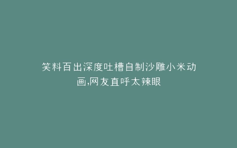 笑料百出深度吐槽自制沙雕小米动画,网友直呼太辣眼