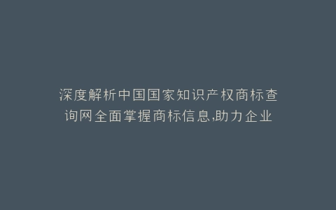 深度解析中国国家知识产权商标查询网全面掌握商标信息,助力企业创新发展
