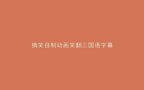 搞笑自制动画笑翻三国语字幕