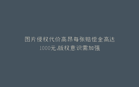 图片侵权代价高昂每张赔偿金高达1000元,版权意识需加强