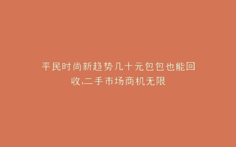平民时尚新趋势几十元包包也能回收,二手市场商机无限