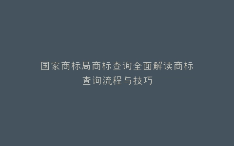 国家商标局商标查询全面解读商标查询流程与技巧