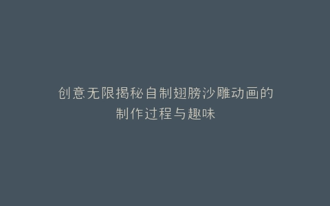 创意无限揭秘自制翅膀沙雕动画的制作过程与趣味