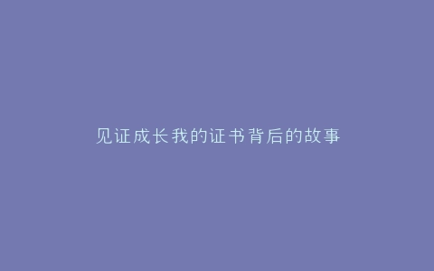 见证成长我的证书背后的故事